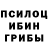 Галлюциногенные грибы прущие грибы M.J Thomas