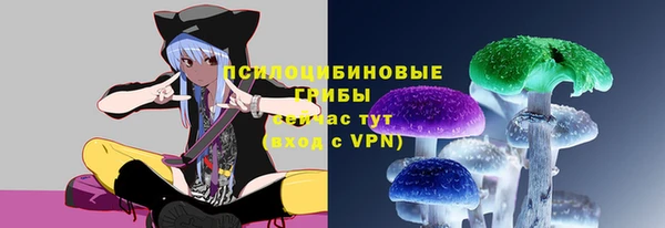 mix Пересвет