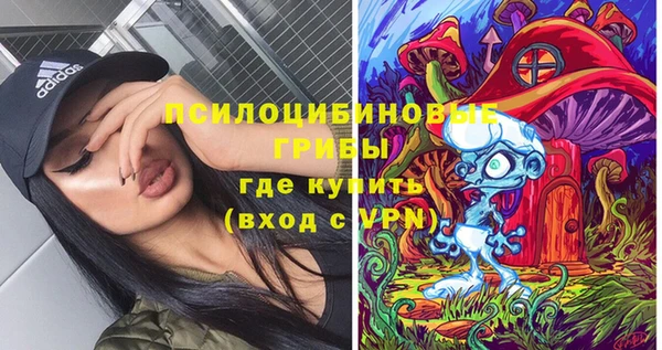 стафф Осташков