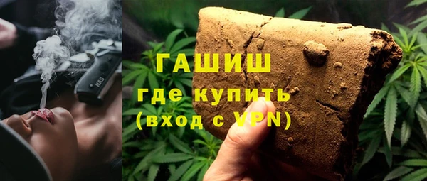 дживик Гатчина