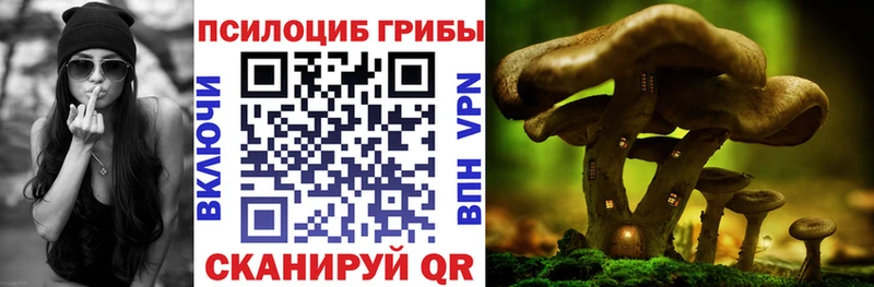 Галлюциногенные грибы ЛСД  блэк спрут зеркало  Мышкин 