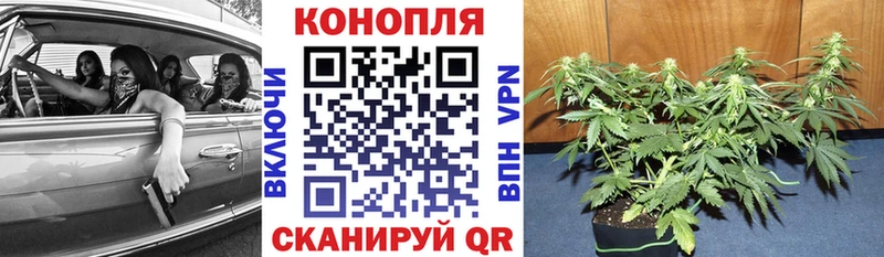 Шишки марихуана THC 21%  Мышкин 
